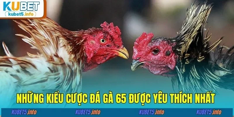 Những kiểu cược đá gà 65 được yêu thích nhất